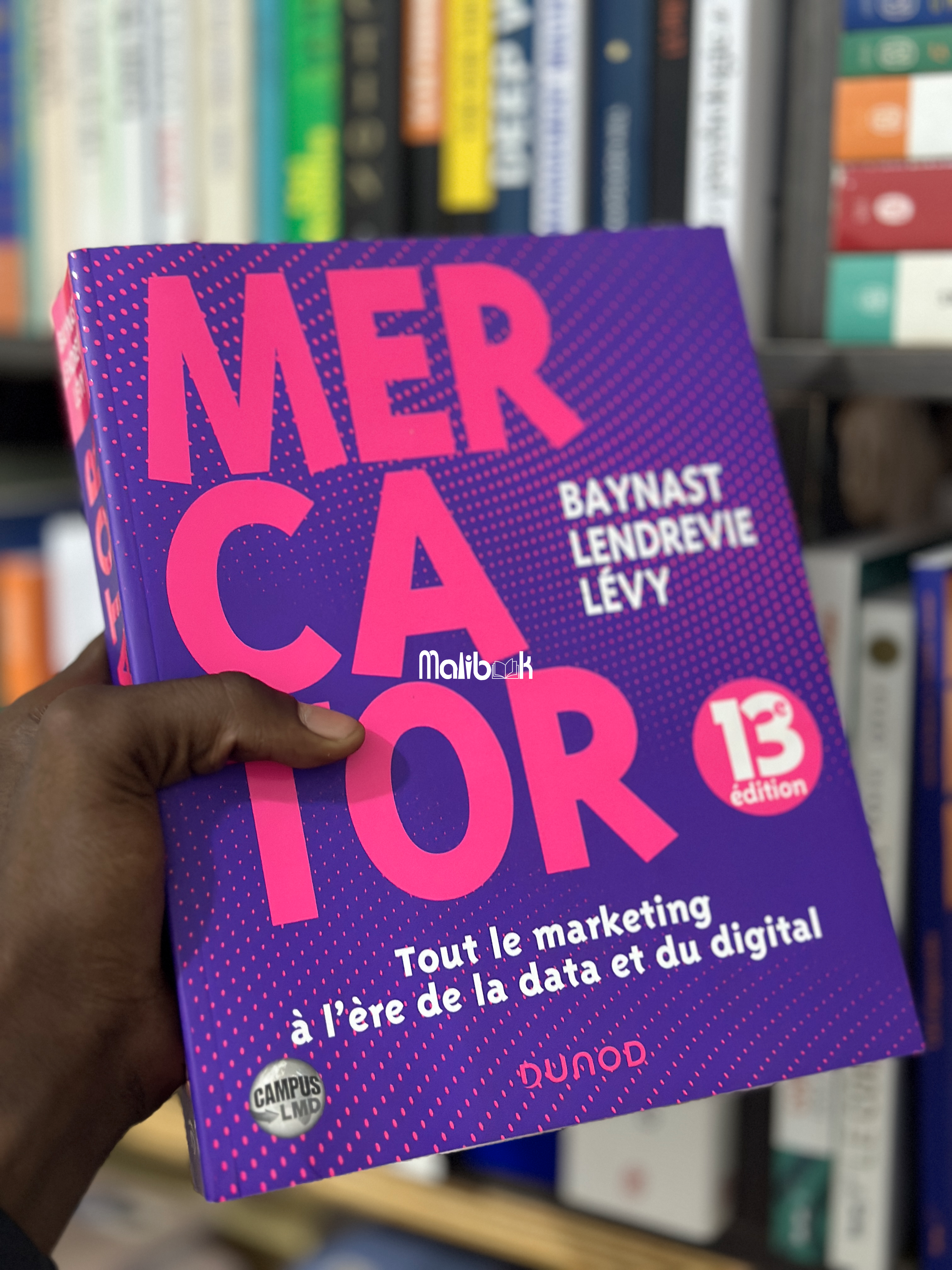 MERCATOR — BAYNAST LENDREVIE LEVY