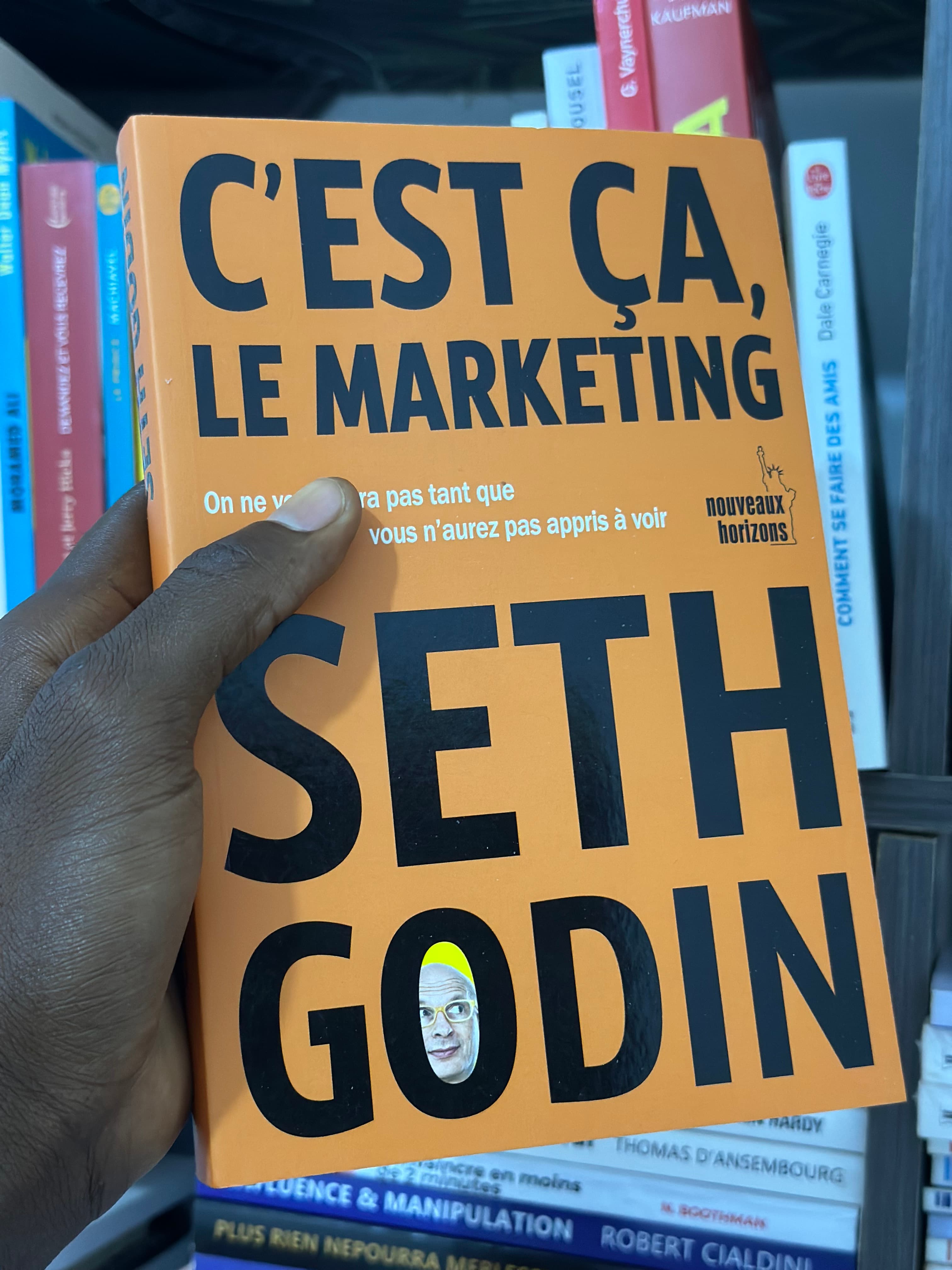 C'EST ÇA LE MARKETING — SETH GODIN
