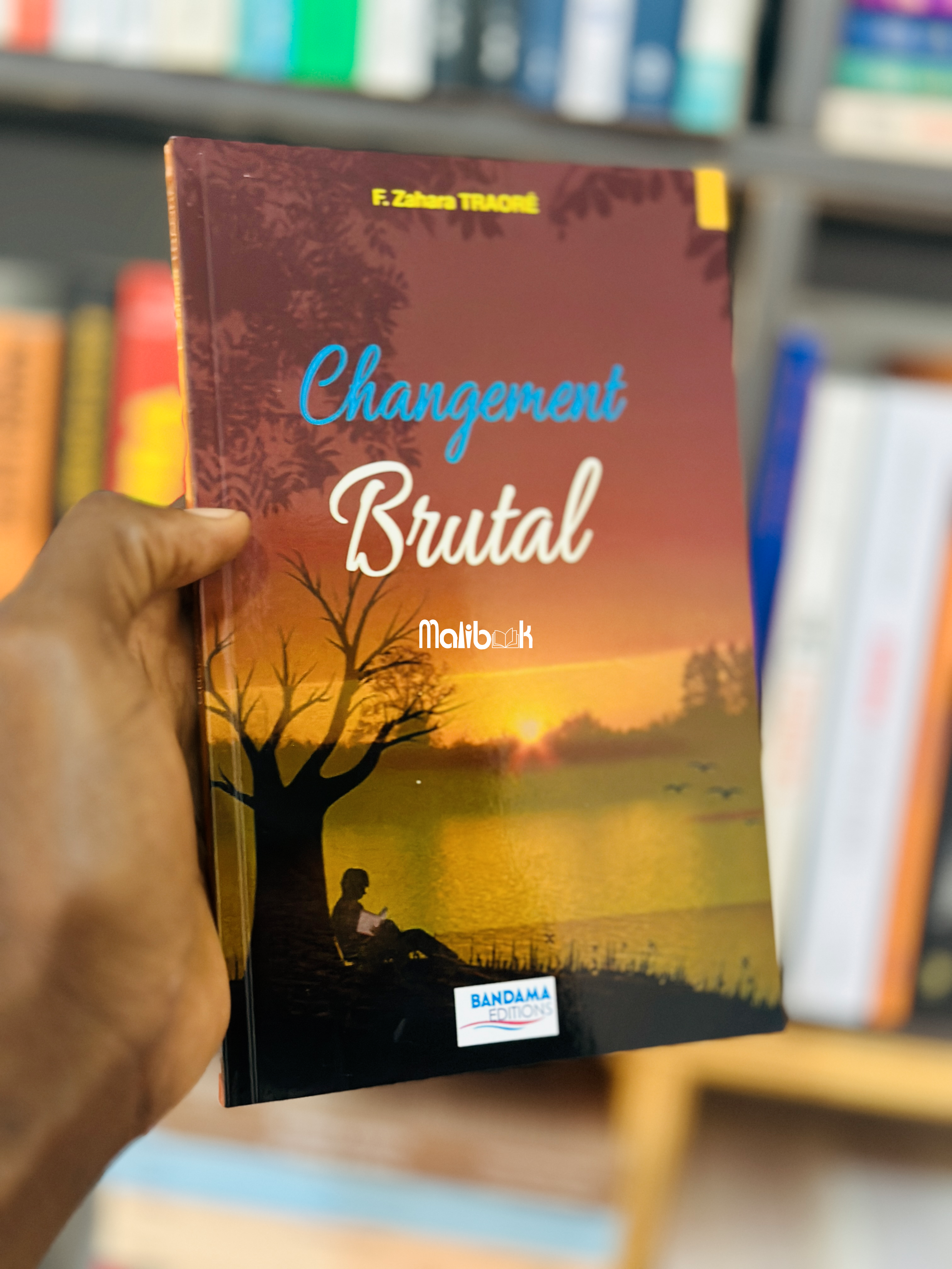 Changement Brutal — F.Zahara TRAORE