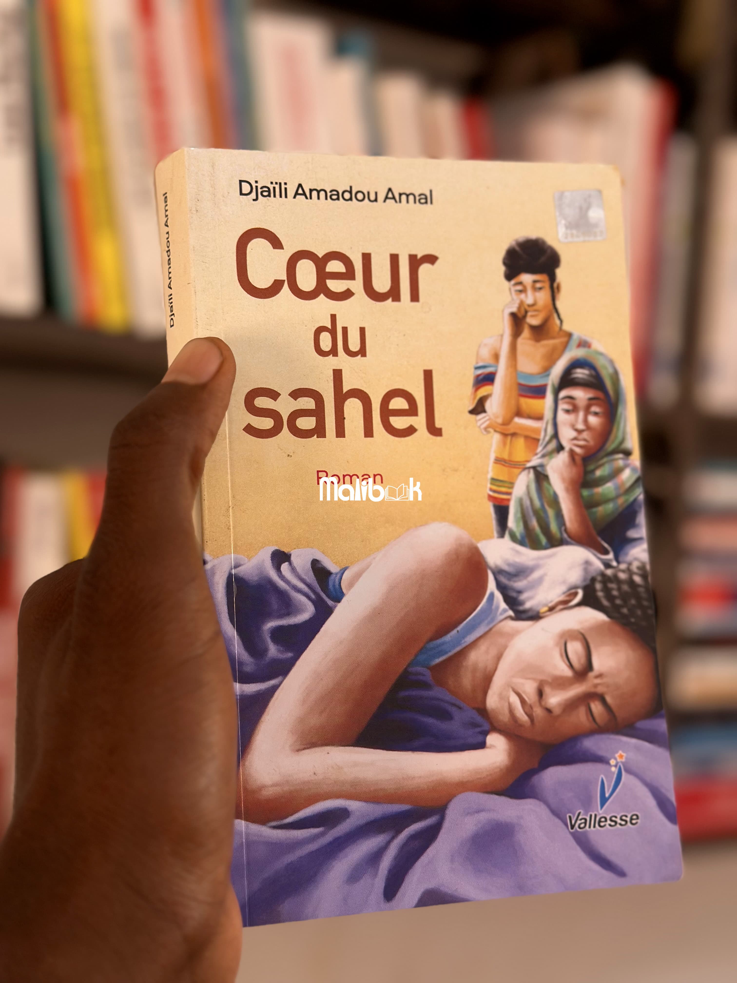 Coeur du sahel — Djaili Amadou Amal