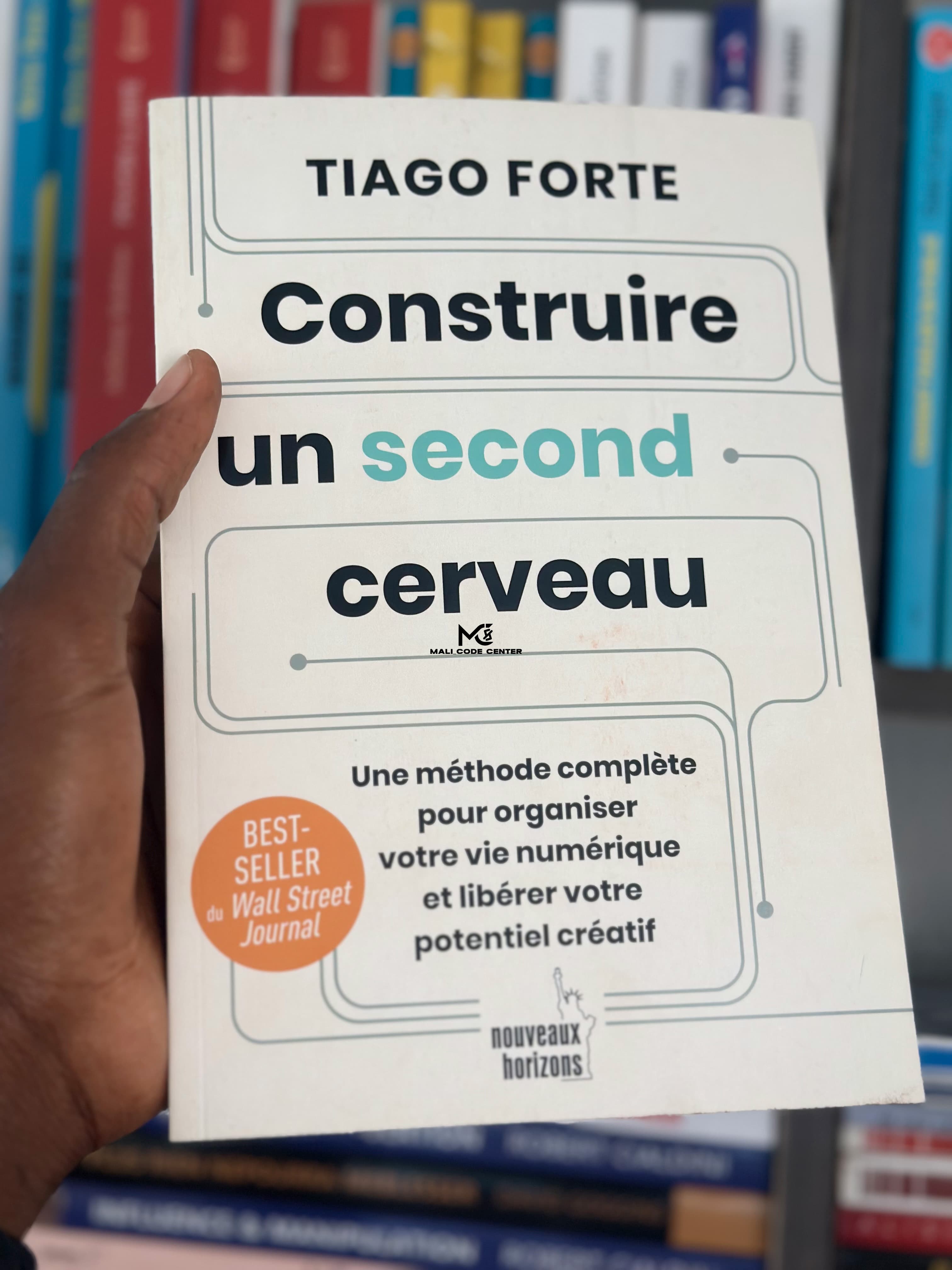 CONSTRUIRE UN SECOND CERVEAU