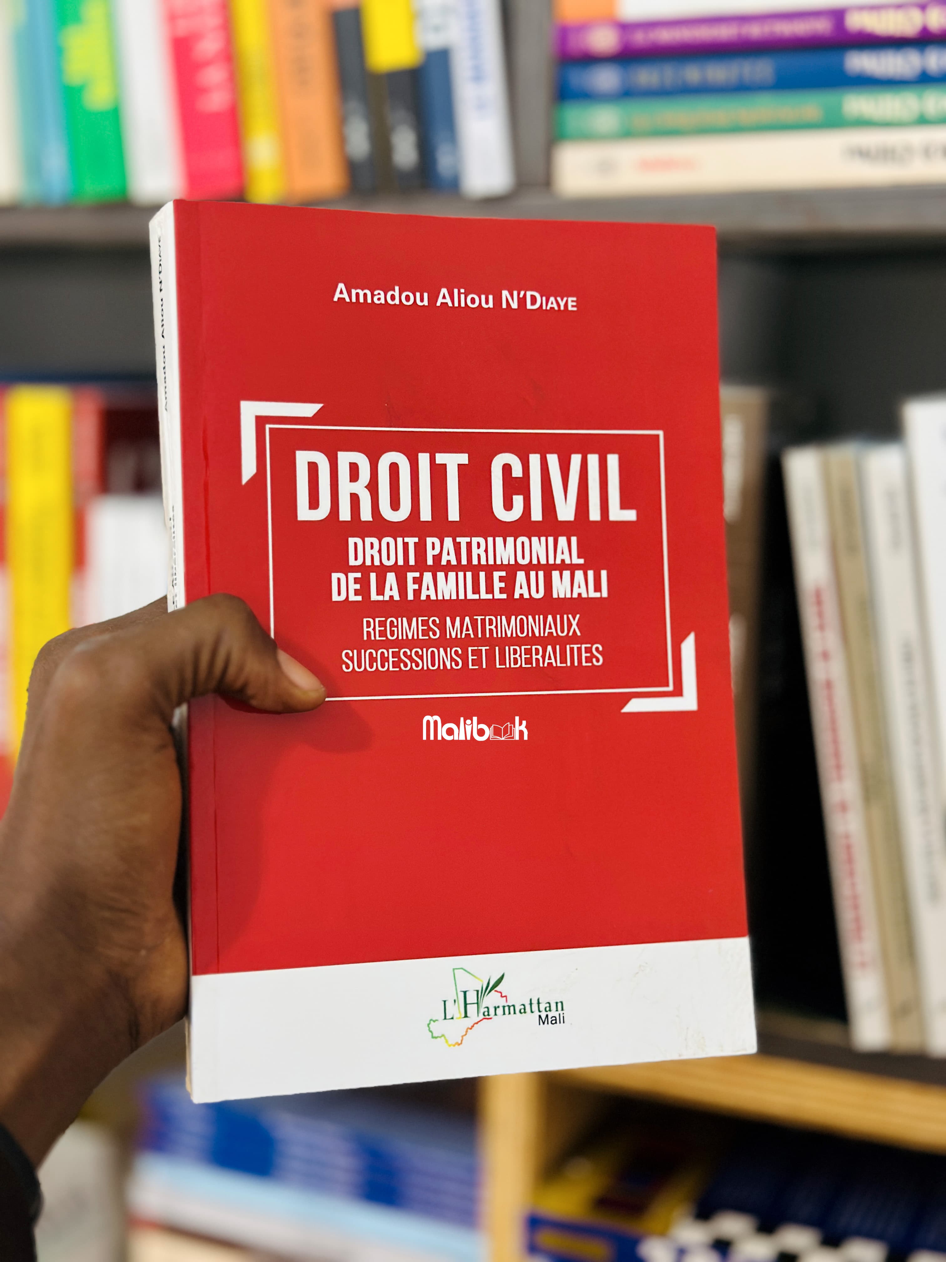 DROIT CIVIL DROIT PATRIMONIAL DE LA FAMILLE AU MALI — Amadou Aliou N'DIAYE