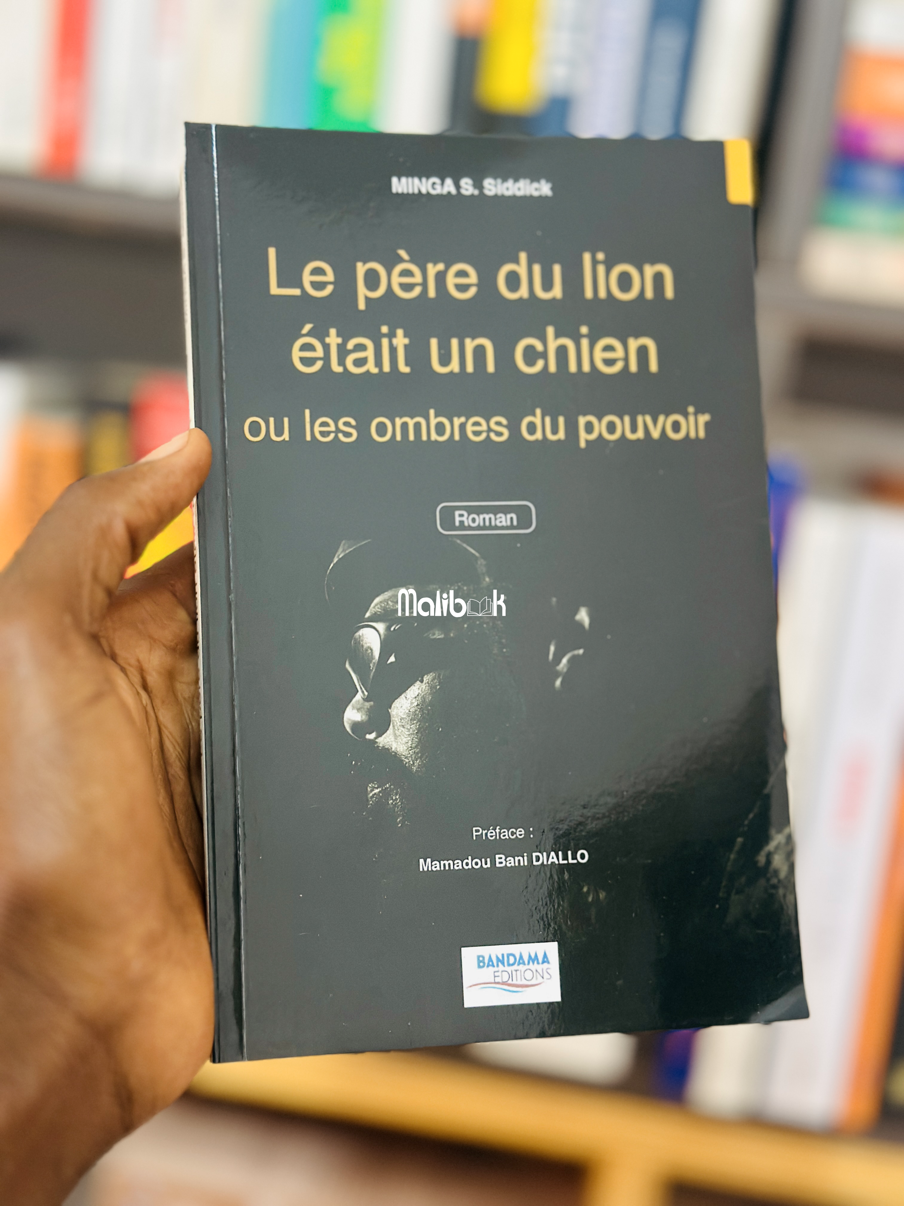 Le père du lion était un chien — MINGA S. Siddick