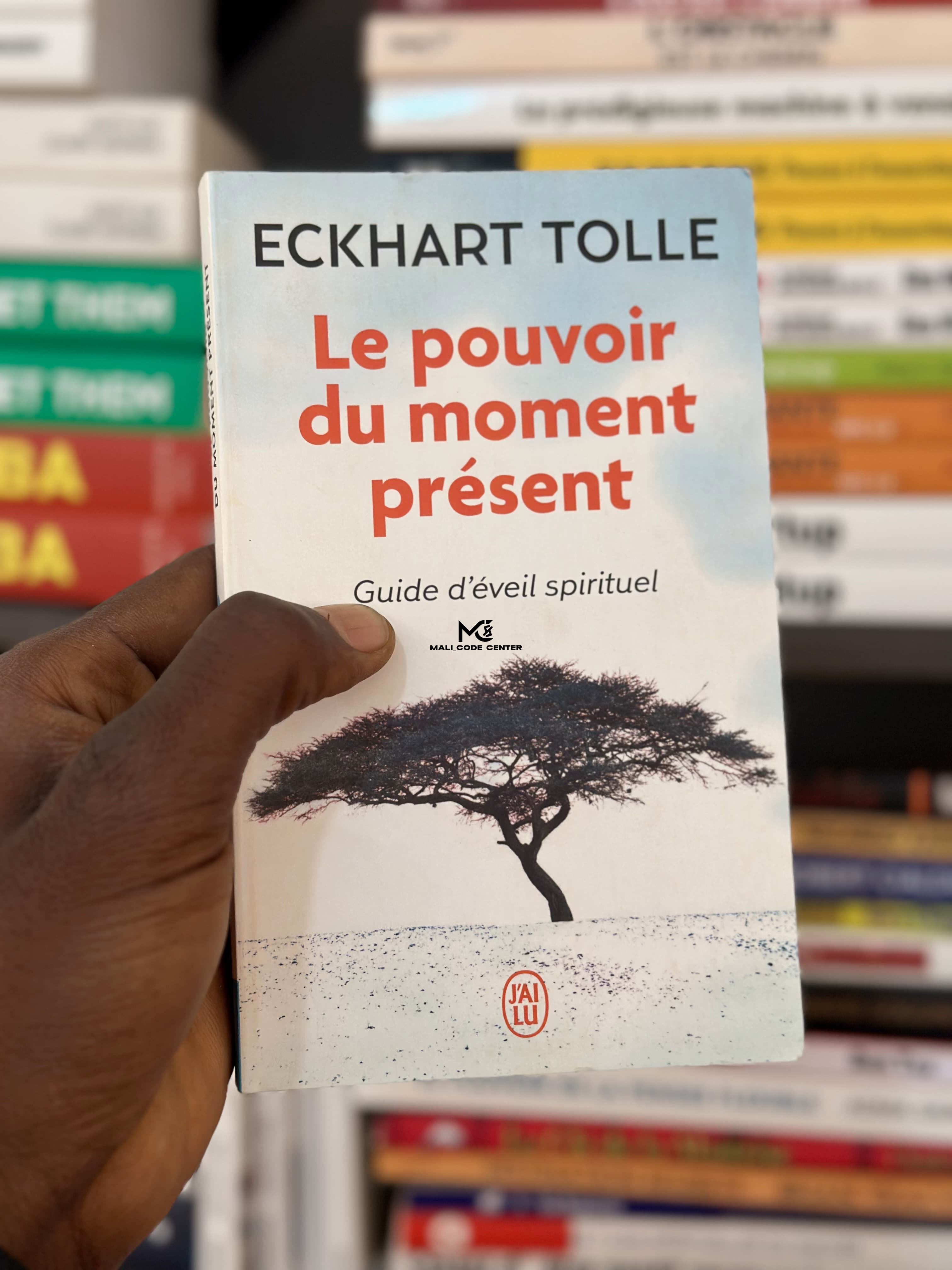 LE POUVOIR DU MOMENT PRESENT