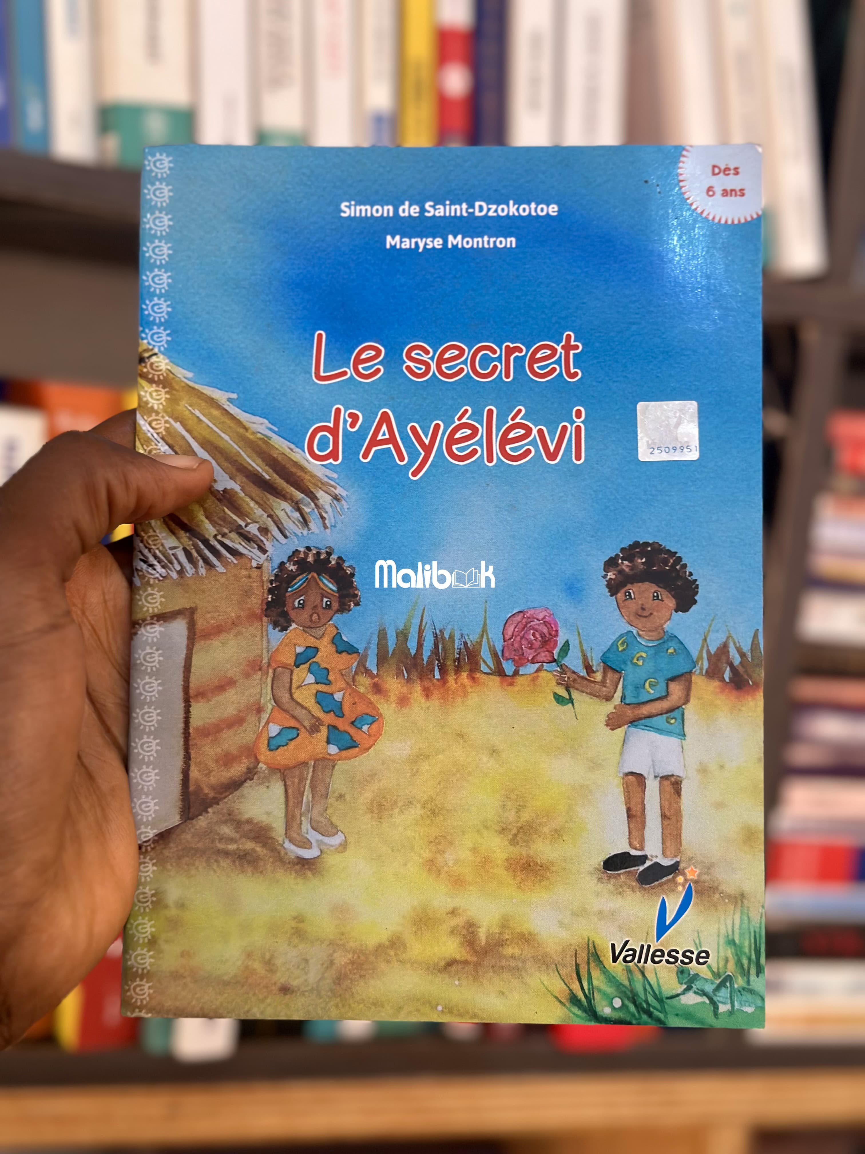 Le secret d'Ayélévi — Valesse