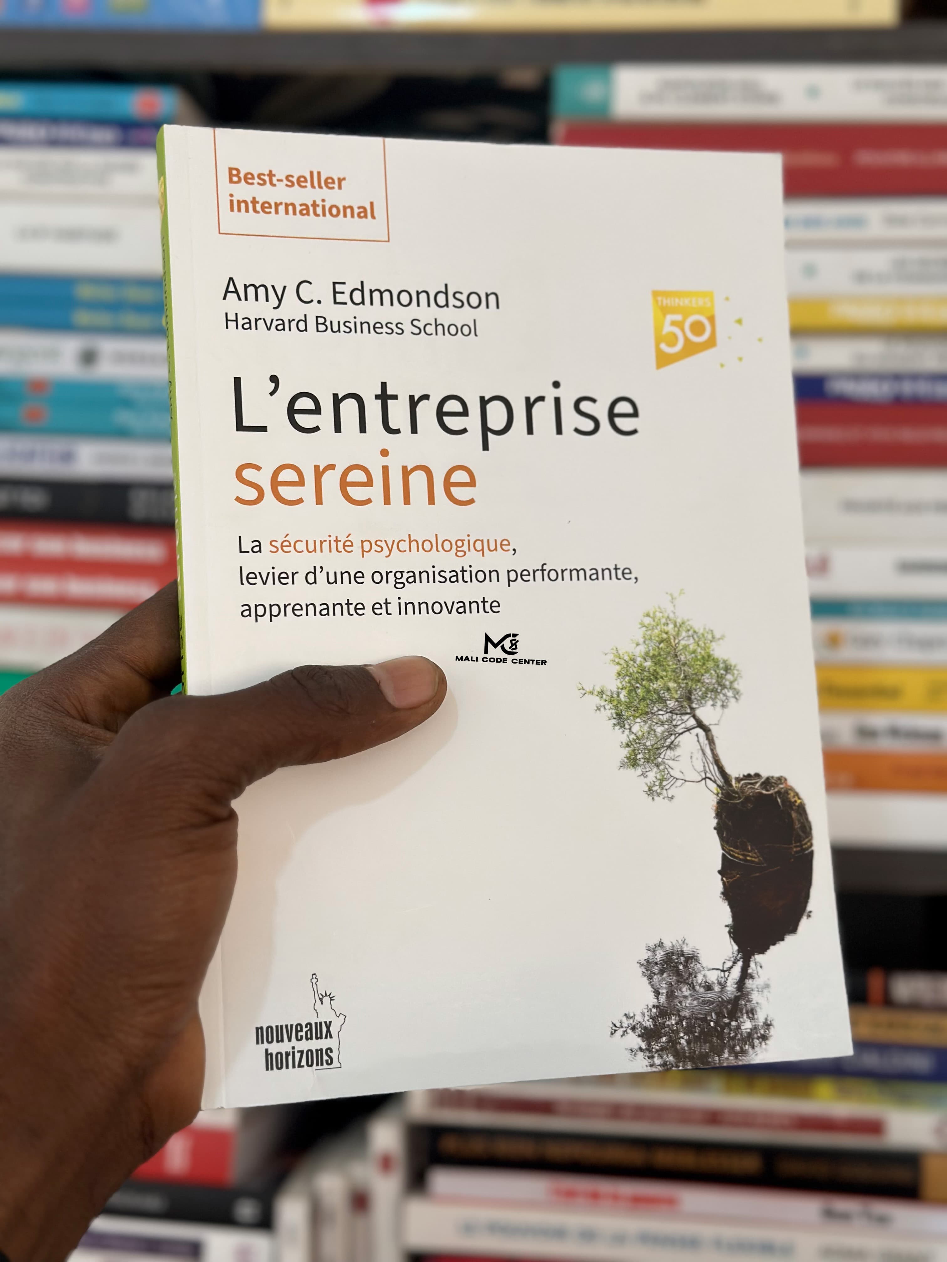 L'ENTREPRISE SEREINE