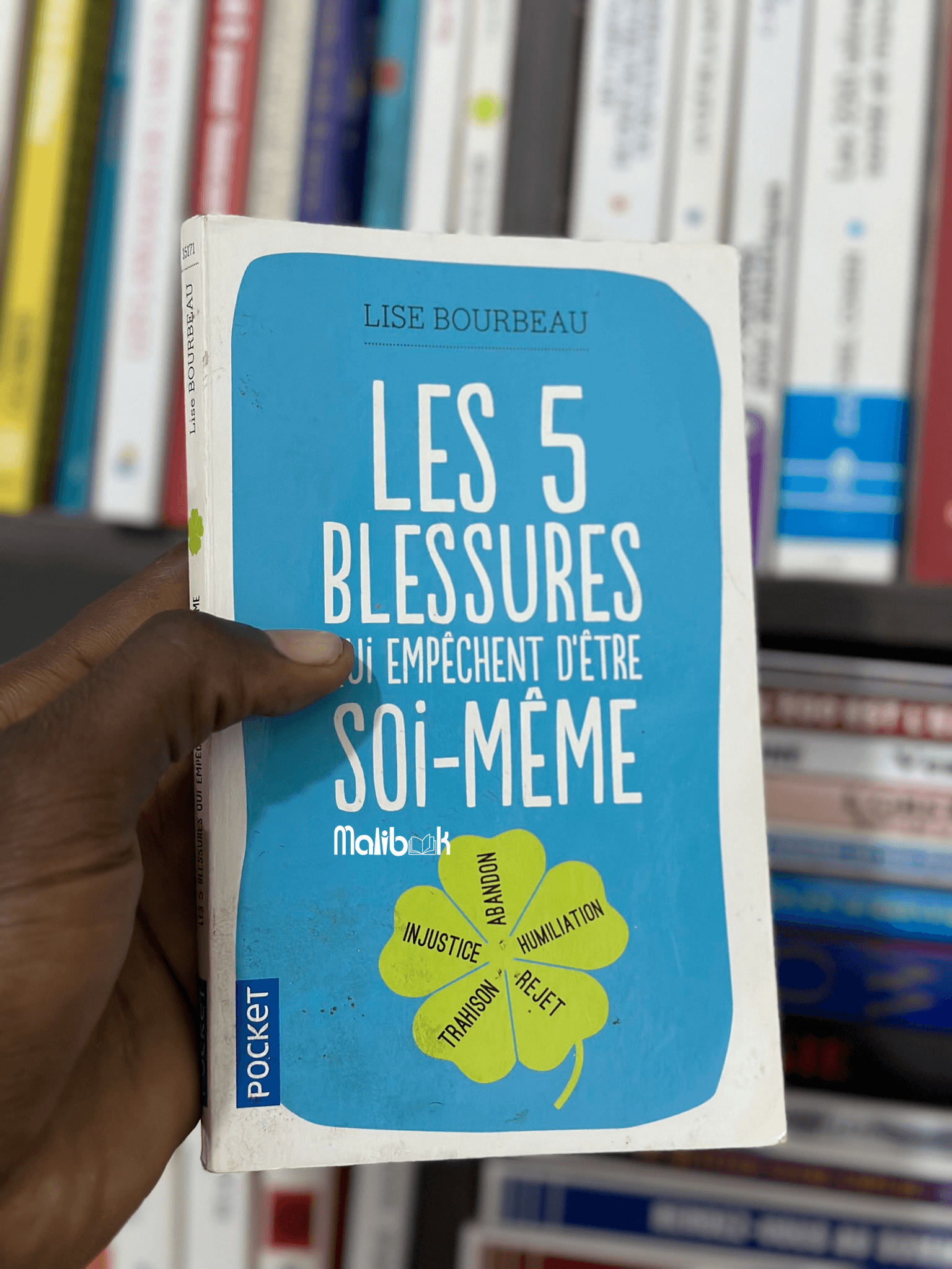 LES 5 BLESSURES QUI EMPÊCHENT D'ÊTRE SOI-MEME — LISE BOURBEAU