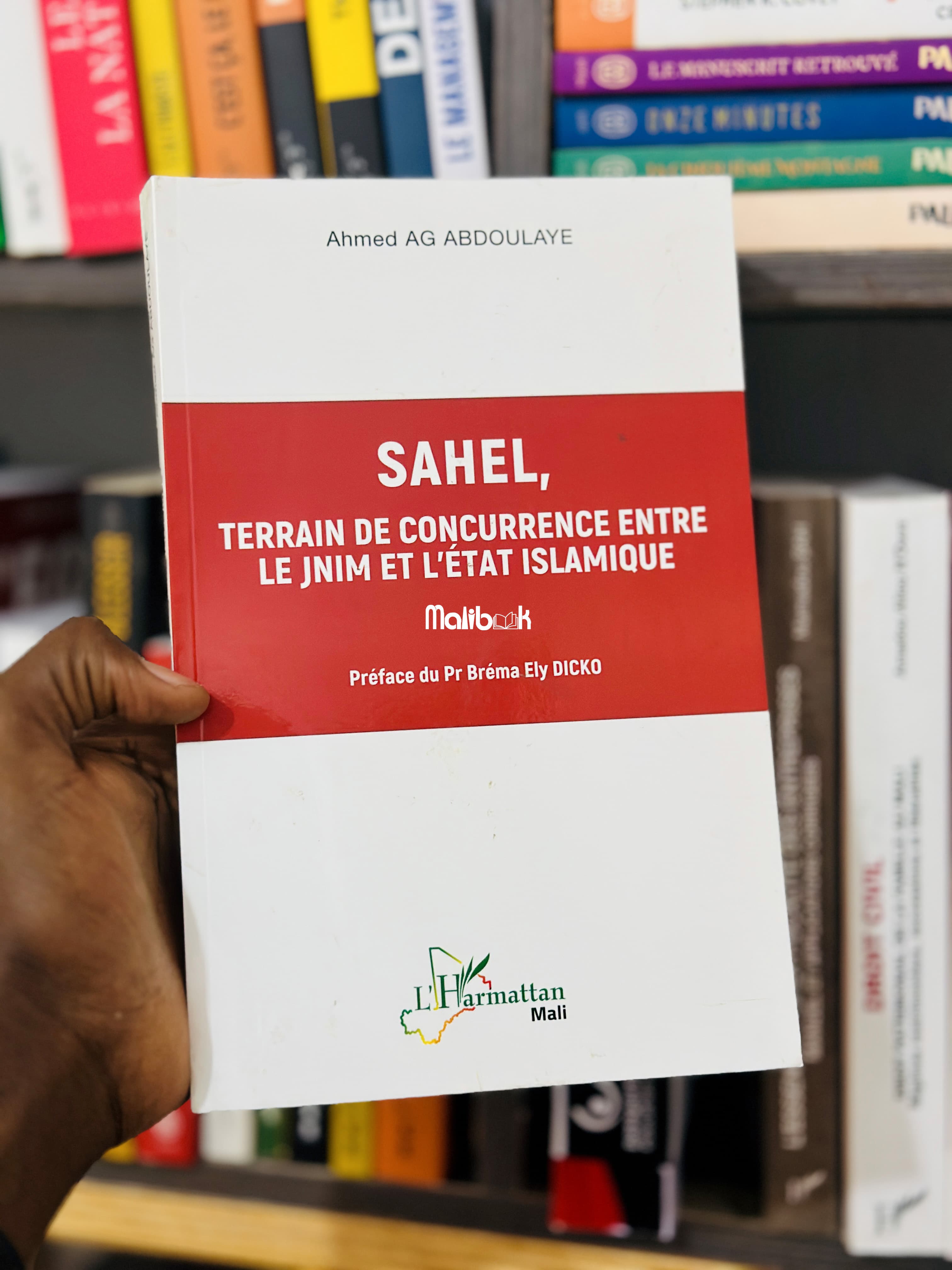 SAHEL TERRAIN DE CONCURRENCE ENTRE LE JNIM ET L'ÉTAT ISLAMIQUE — Ahmed AG ABDOULAYE